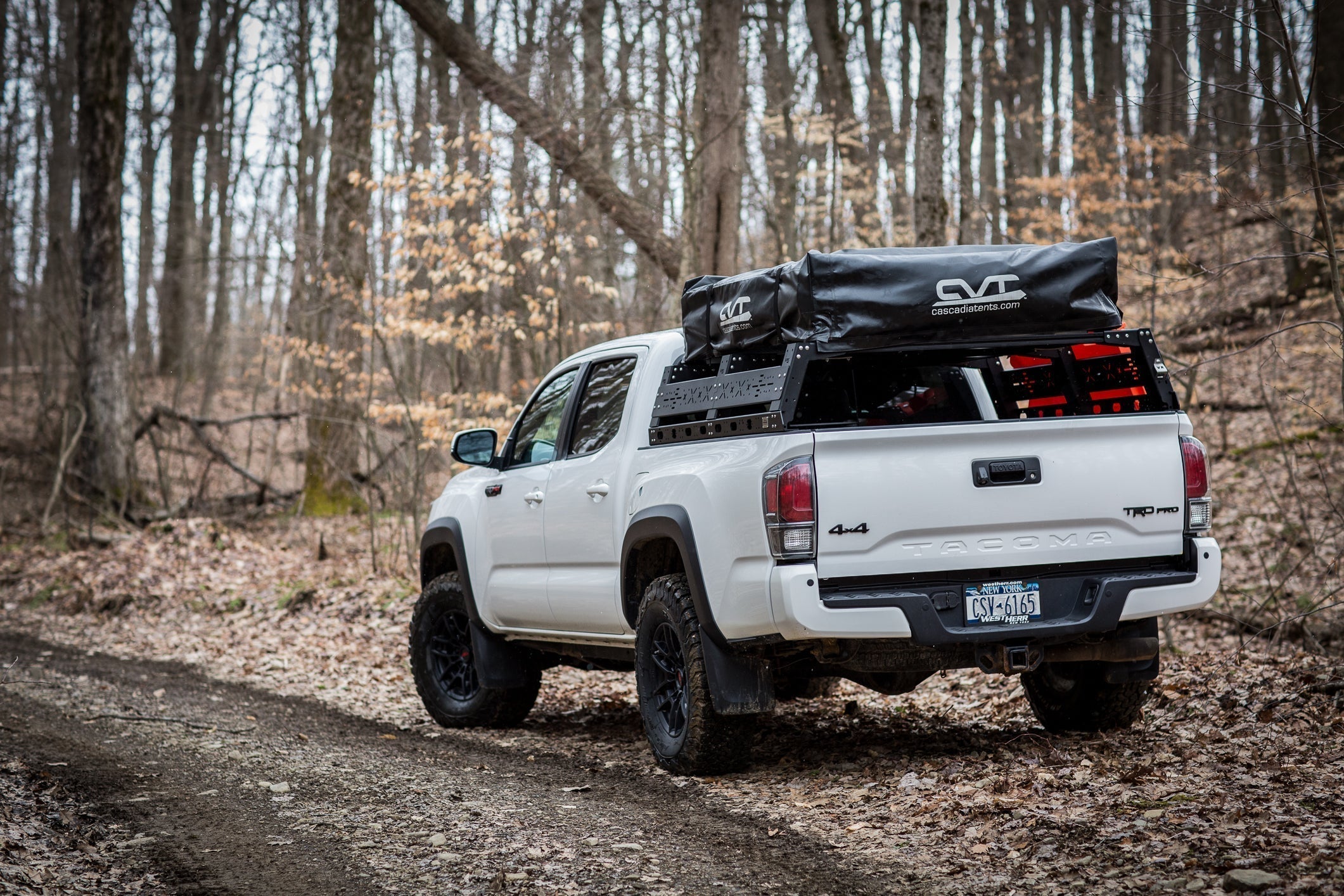 White Toyota Tacoma TRD Pro on a wooded trail with a full KB Voodoo VRS overland bed rack and rooftop tent installed